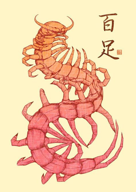 Giant Centipede, Centipedes, Insect Tattoo, Beautiful Tattoo, Next Tattoo, Insect Art, Tattoo Life, Creature Concept Art, Animal Sketches