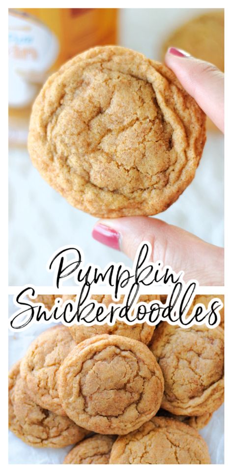 Pumpkin Snickerdoodle Cookies, Pumpkin Cookies Easy, Pumpkin Snickerdoodles, The Perfect Cookie, Pumpkin Oatmeal Cookies, Cooking Pumpkin, Snickerdoodle Recipe, Spice Mix Recipes, Pumpkin Cinnamon Rolls