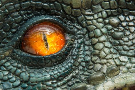 Real Dinosaur, Fire Eyes, Lego Jurassic World, Vinyl Poster, Jurassic Park World, Tyrannosaurus Rex, Box Office, Jurassic World, Jurassic Park