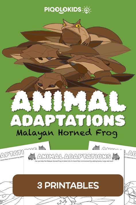 In this creative printable activity, your students will learn about animal adaptations through a fun art activity on how the Malayan Horned Frog uses its unique shape and coloration to blend into its environment. #steam #artintegration #elementary #science #stem Horned Frog, Preschool Stem, Science Stem, Animal Adaptations, Good Introduction, Arts Integration, Horned Frogs, Art Activity, Elementary Science