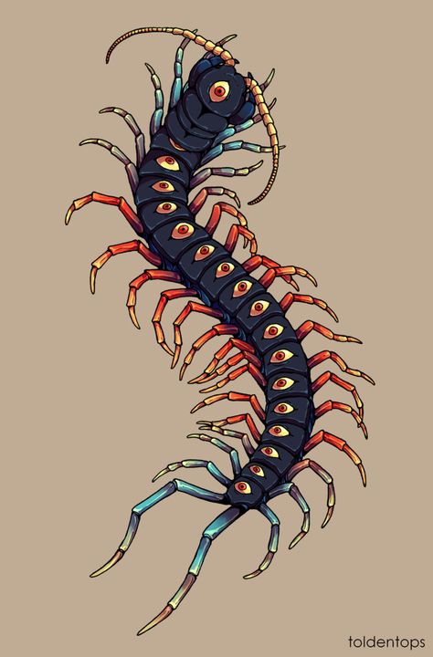 Centipede Drawing, Centipede Tattoo, Arte Doodle, Bug Tattoo, Insect Tattoo, Creepy Tattoos, Dark Art Tattoo, Dark Tattoo, Monster Design