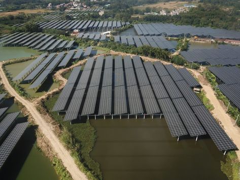 Solar park on Chinese fish pond achieves LCOE of $0.022/kWh – pv magazine International Chinese Fish, Energy Companies, Fish Farming, Fish Ponds, Fish Pond, Renewable Energy, Glass Design, Glass Panels, Landscape Architecture