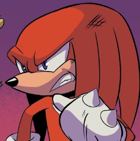 Knuckles The Echidna, The Hedgehog, Sonic, Sonic The Hedgehog, Red