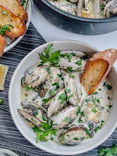 steamer clams in lemony white wine cream sauce — AllTypesOfBowls Steamed Clams In White Wine Garlic, Types Of Bowls, Steamer Clams, Clam Sauce Recipe, Grilled Clams, Wine Cream Sauce, Fresh Clams, White Wine Cream Sauce, Toasted Crostini