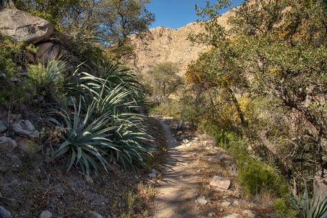 Hiking Trails | Kartchner Caverns State Park Kartchner Caverns, Southern Arizona, Hiking Trails, State Park, State Parks, Arizona, Things To Do, Country Roads, Hiking