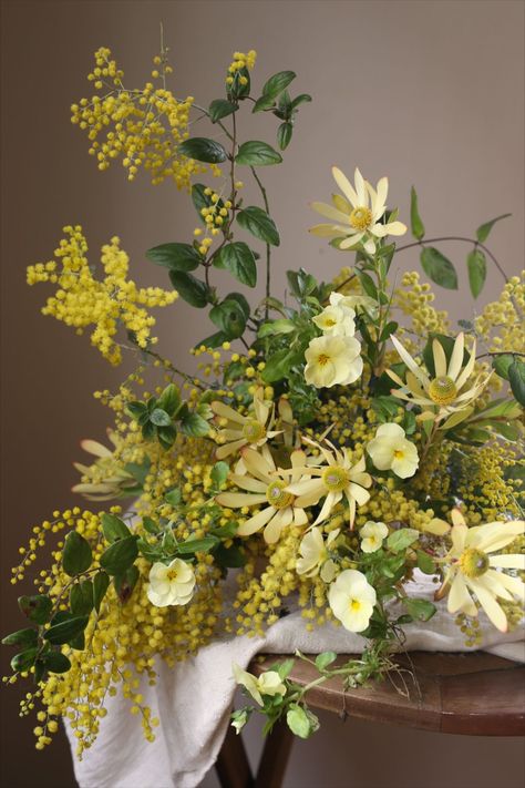 Yellow Tulip Arrangement, Mimosa Flower Arrangement, Mimosa Arrangement, Yellow Flowers Arrangements, Yellow Floral Arrangements, December Flowers, Yellow Flower Arrangements, Tulip Arrangement, Yellow Chrysanthemum