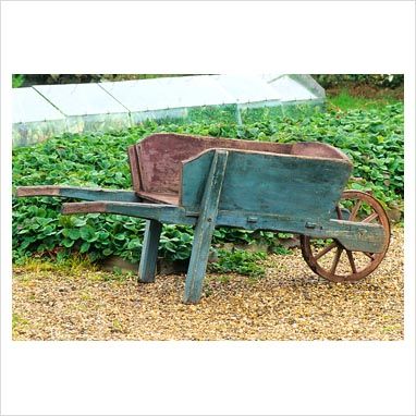 Old wheelbarrow Antique Wheelbarrow, Rice Image, Wooden Wheelbarrow, Colonial Garden, Wheelbarrow Planter, Wheelbarrow Garden, Wooden Cart, Wooden Wheel, Flower Cart