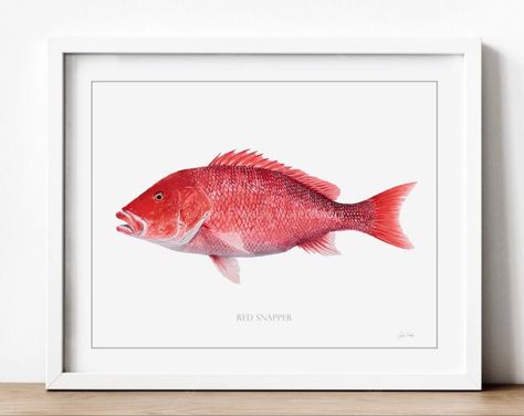 Print from an original watercolor. A Red Snapper. Great gift for fishermen, or used as beachy decor. Available along with my other artwork in my Etsy store. Grayton Beach Florida, Beach House Wall Art, Watercolor Fish, Red Snapper, Beachy Decor, Fish Painting, Original Watercolor Painting, Instagram Shop, Watercolor Print