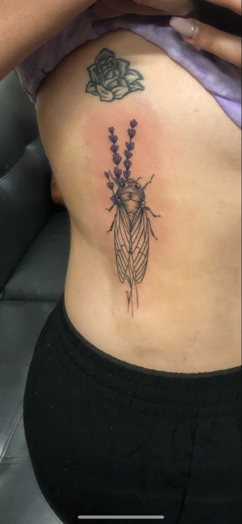 Cicada Tattoo Meaning, Shawl Tattoo, Small Cicada Tattoo, Entomology Tattoo, Asher Tattoo, Cicada Tattoo, Lavender Tattoo, Bug Tattoo, Skeleton Tattoos