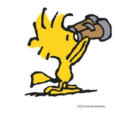 Hey little buddy!!!!! Snoopy Tattoo, Woodstock Snoopy, Woodstock Peanuts, Peanuts Charlie Brown Snoopy, Snoopy Comics, Snoopy Cartoon, Peanuts Comic Strip, Snoopy Funny, Snoopy Images