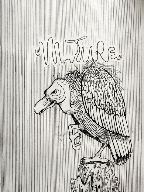 Vulture illustration Vulture Drawing, Vulture Illustration, Cartoon Vulture, Crow Bird, Goth Home, Goth Home Decor, Trippy Wallpaper, Bird Tattoo, Dark Tattoo