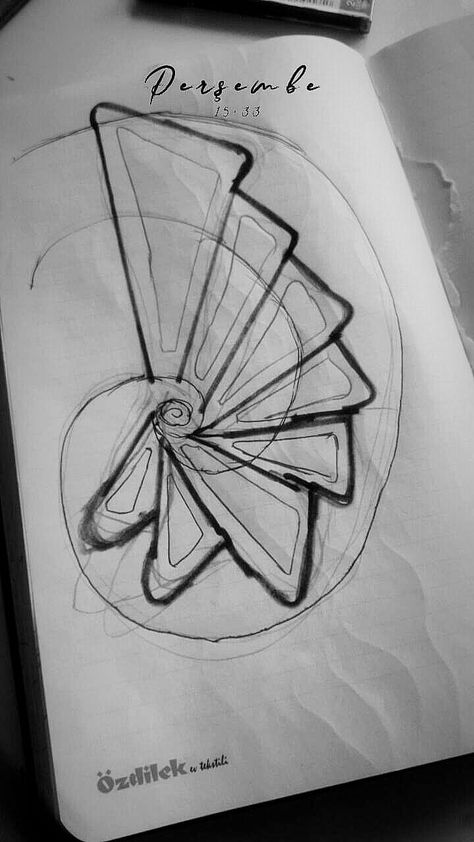 Radial Architecture Plan, Concept Architecture Ideas Sketch, Golden Ratio Architecture, Rhino Architecture, Organic Architecture Concept, Biomimicry Architecture, Eco Project, Origami Architecture, Conceptual Sketches