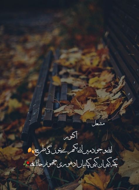 October Poetry In Urdu, October Poetry, Night Poetry, Poetry In Urdu, Urdu Poetry Romantic, Girly Photography, Urdu Poetry, Beautiful Words, Poetry