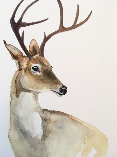 White Tail Deer Kirsten Dill Watercolor  Etsy SonoranWatercolors Deer Drawing, Deer Illustration, Deer Painting, Seni Vintage, Deer Art, Watercolor Paintings Easy, A Deer, Watercolor Inspiration, Christmas Paintings