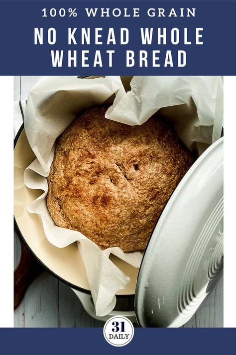 Organic Bread Recipe, No Knead Whole Wheat Bread, Best Whole Grain Bread, Homemade Whole Wheat Bread, 100 Whole Wheat Bread, Crock Pot Bread, Honey Wheat Bread, Wheat Bread Recipe, Dutch Oven Bread