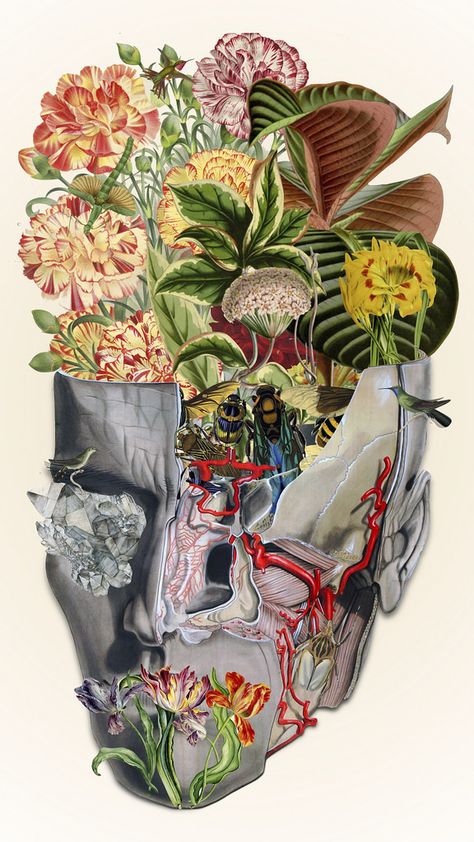 http://hifructose.com/2016/03/15/bedelgeuses-collages-blend-human-anatomy-with-nature/ Travis Bedel, Nature Collage, Collage Kunst, Brain Art, Medical Art, A Level Art, Collage Artists, Anatomy Art, Botany