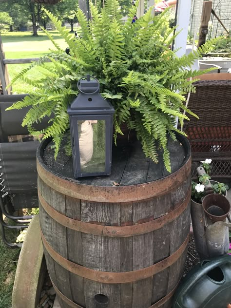 Whiskey Barrel Decorating Ideas Front Porch, Wine Barrel Outdoor Ideas, Country Planter Ideas, Whiskey Barrel Outdoor Decor, Wooden Barrel Decor, Wine Barrel Patio Ideas, Whiskey Barrel Outdoor Ideas, Whiskey Barrel Porch Ideas, Wine Barrel Backyard Ideas