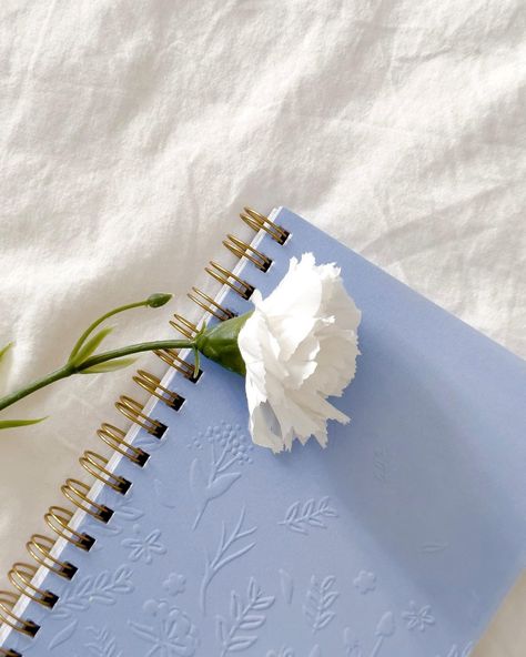 Our stationery items taste like a sweet cup of tea on beautiful spring morning 🌻💙 have you tried our products yet? #stationeryshop… | Instagram Stationery Photoshoot, Sweet Cup, Sweet Cups, Books Cover, Spring Morning, Note Books, Beautiful Stationery, Photoshoot Inspo, Stationery Shop