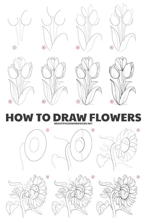 tutorial for how to draw flowers Flower Drawing Tutorial Step By Step, Sunflowers And Tulips, Tulip Sketch, Stone Wallpapers, How To Draw 3d, Flowers Step By Step, Paint Stone, How To Draw Flowers, Tulip Drawing