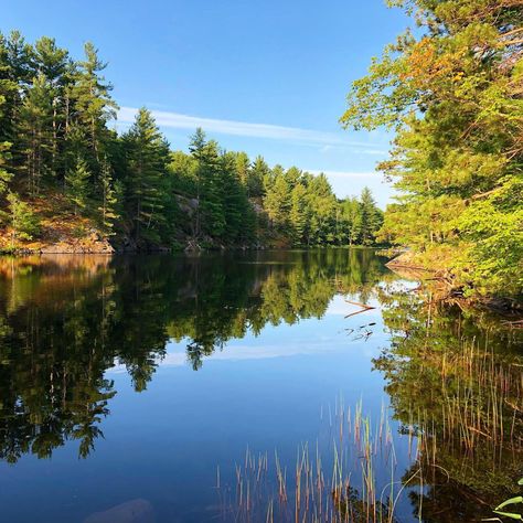 Gorgeous view from our backcountry campsite at Kawartha Highlands Provincial Park Ontario Canada. Canada Camping, Gorgeous View, Camping Hiking, Ontario Canada, Long Distance, Caravan, Ontario, Tent, Fishing