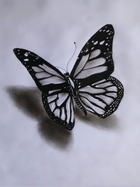 Butterfly Charcoal Drawing, Non Living Things Drawing, Black And Grey Butterfly Tattoo, Charcoal Butterfly, Face Art Drawing, Pencil Drawings Of Animals, Easy Love Drawings, Disney Art Drawings, Pencil Shading