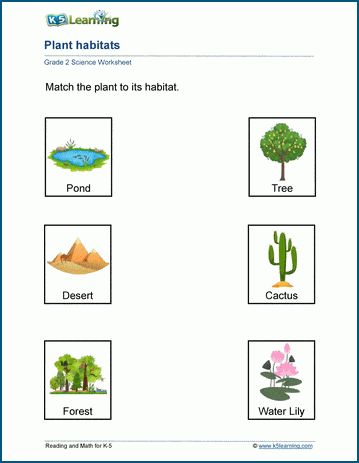 Plant habitats worksheets. In these worksheets, students match plants to their habitats and reflect on how the plant has adapted to the conditions of that habitat. Free | Printable | Grade 2 | Science | Worksheets Plants Habitat Worksheet, Science Worksheets Grade 2, Third Grade Science Worksheets, Classifying Plants, Habitat Activities, Compound Words Worksheets, Plant Adaptations, Grade 2 Science, Plants Worksheets