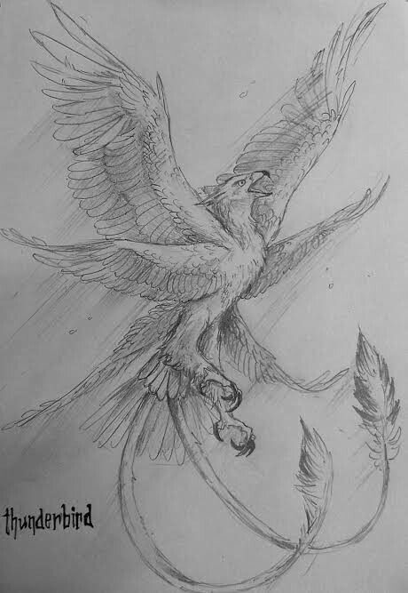 Magical Animal Drawings, Harry Potter Magical Creatures Drawings, Creature Drawings Sketches, Magical Creatures Drawings, Mythical Creature Drawings Sketches, Griffin Drawing, Fantastic Beasts Creatures, Harry Potter Creatures, Mythical Creatures Drawings