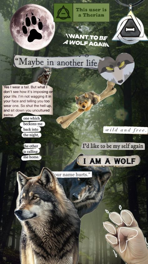 Created by stubbssamantha1 on shuffle (free app for pintrest) Therian Wolf, Uncultured Swine, Wolf Therian, Maybe In Another Life, Wolf Wallpaper, A Sentence, Animal Masks, In Another Life, The Wolf