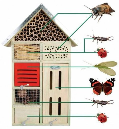 Bug Houses, Bug Hotels, Insect House, Slugs In Garden, Bug House, Hotel Landscape, Bee Houses, Bee Hotel, Vegetable Garden Tips