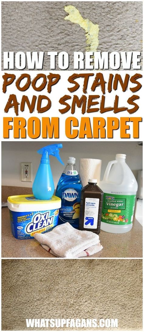 how to remove poop stains from carpet | remove diarrhea stains | human feces |carpet cleaning tutorial | cleaning tip hack | get rid of poop smell | excrement stain removal | home remedy cleaning solution | clean carpeting Cleaning Carpets With Vinegar, Musty Carpet Smell How To Remove, Carpet Steamer Solution Diy, Carpet Spot Remover Diy, How To Get Vomit Smell Out Of Carpet, How To Clean Carpet Stains, Home Made Carpet Cleaner Solution, How To Remove Urine Smell From Carpet, Bissell Green Machine Solution Diy