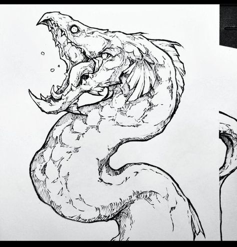 Eel Sketch, Sea Monster Sketch, Eel Tattoo Design, Eel Drawing, Eel Art, Sorie Kim, Sea Monsters Drawing, Sea Creatures Drawing, Monster Fish