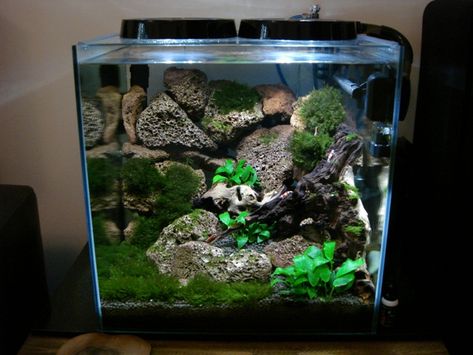 shrimp tank / aquascape / planted tank Rock Scaping, Aquascaping Plants, Aquarium Supplies, Amazing Aquariums, Shrimp Tank, Aquascape Design, Nano Aquarium, Aquarium Landscape, Aquascape Aquarium