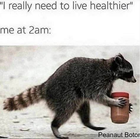 23 Raccoon Memes For Anyone Who Just Loves Those Little Trash Pandas Trash Panda Funny, Cute Raccoon, Memes Sarcastic, Trash Panda, Me Too Meme, Garam Masala, Edgy Memes, Animal Memes, Best Memes