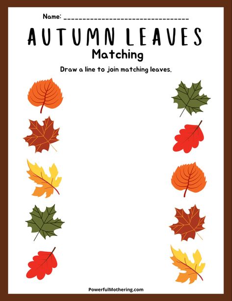 Abc Fall Activities Preschool, Fall Outdoor Preschool Activities, Pre Schoolers Autumn Activities, Fall Matching Worksheets For Preschool, Autumn Theme Activities For Toddlers, Tree Small Group Activities, Leaves Prek Activities, Trees And Leaves Activities For Toddlers, Preschool Fall Leaves Crafts