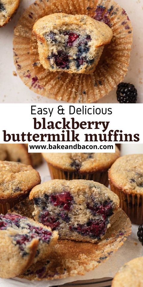 These Blackberry Buttermilk Muffins are the perfect start to your morning! Soft, tender muffins loaded with juicy blackberries in every bite! Recipes With Blackberries, Blackberry Muffin, Buttermilk Muffins, Quick Oatmeal, Blackberry Recipes, Buttermilk Recipes, Oatmeal Recipes, Breakfast Brunch Recipes, No Bake Treats