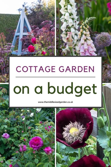 From empty space to brilliant cottage garden - on a shoestring budget. Lots of clever recycling ideas plus tips for keeping plant costs down. If you love cottage gardens, don't miss this 🌻🌲❤️😍 Narrow Cottage Garden, Small Cottage Garden Ideas On A Budget, Cottage Garden Trellis, Cottage On A Budget, Simple Cottage Garden Ideas, How To Plan A Cottage Garden, Beautiful Cottage Gardens, Clever Garden Ideas, How To Plant A Cottage Garden