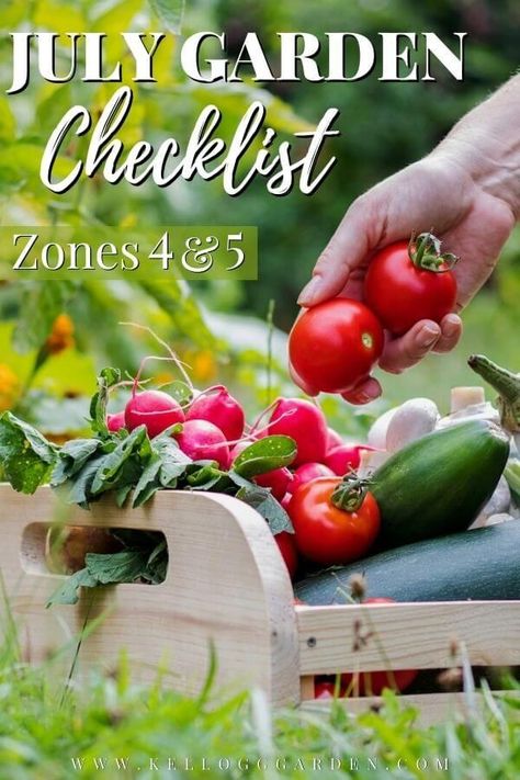 Check out this July Garden Checklist Zones 4-5 for tons of tips and to-dos to keep your garden lush and bountiful. #julygardening #summergardening #gardening101 #gardeningtipsandtricks Garden Checklist, July Garden, Full Garden, Fall Perennials, Edible Gardening, Summer Gardening, Beginner Gardening, Vegetable Garden Tips, Small Vegetable Gardens