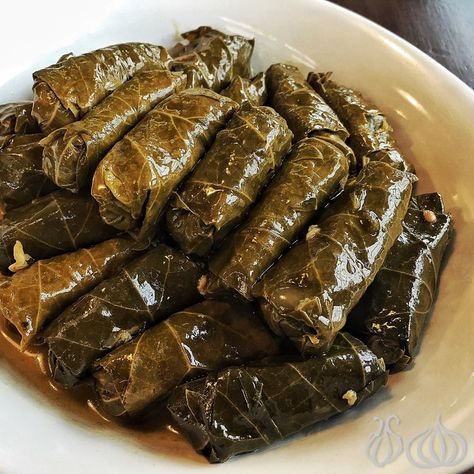 Arabisk Mad, Greek Appetizers, Salsa Yogurt, Stuffed Grape Leaves, Vegetarian Appetizers, Lebanese Recipes, Sauce Tomate, Middle Eastern Recipes, Greek Recipes