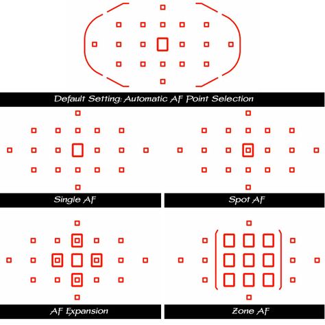 Canon 7D Tips: Problem focusing? Customize the AF! Focusing Tips, Camera Knowledge, Canon R7, Understanding Photography, Focus Tips, Canon 50d, Foto Canon, Camera Tutorial, Camera Techniques