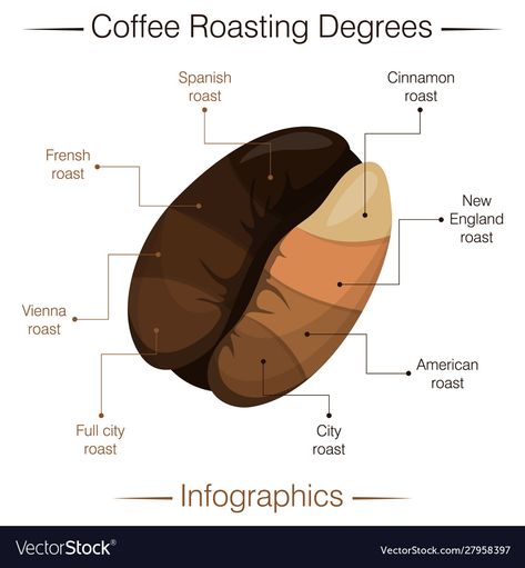 Coffee Roasting Illustration, Pouring Coffee, Coffee Infographic, Roasted Coffee Beans, Arabica Coffee, Changing Room, Coffee Packaging, Scientific Illustration, Coffee Roasting