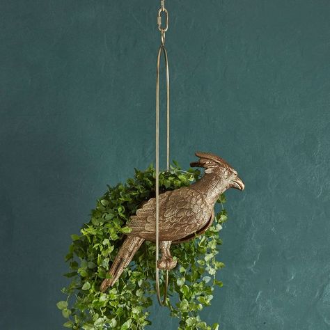 Harry Potter™ Phoenix Hanging Planter | Pottery Barn Teen Fairytale Home Decor, Hogwarts Decor, Harry Potter Bedroom Decor, Phoenix Harry Potter, Lamp Pottery, Planter Pottery, Magical Room, Harry Potter Bedroom, Harry Potter Shop