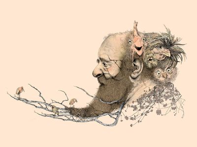 Edward Lear, Work Inspiration, Arte Animal, Art And Illustration, Freelance Illustrator, Children's Book Illustration, Old Man, Beards, Animation Art