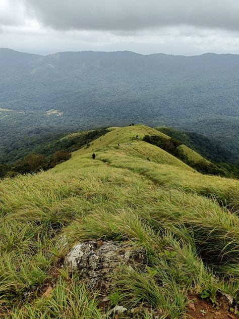 View of Brahmagiri hill trek from wayanad Biker Logo Design, Biker Logo, Bangalore City, Travel Aesthetics, Munnar, Ooty, Contemporary Art Painting, Good Music Quotes, Kerala India