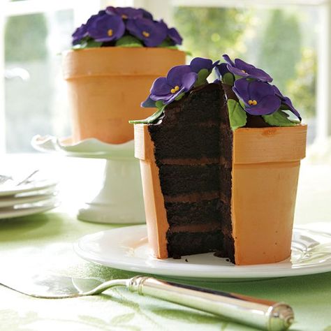 Blooming Flower Pot Cake - Velvety-rich five-layer chocolate devil’s food cake with chocolate-caramel truffle cream filling and coffee buttercream frosting. Topped with hand-sculpted sugar paste flowers and green fondant icing leaves. Order frozen online from Williams-Sonoma for $100 3d Dort, Flower Pot Cake, Torte Creative, Violet Cakes, Pot Cakes, Decoration Patisserie, Torte Cupcake, Spring Cake, Gateaux Cake