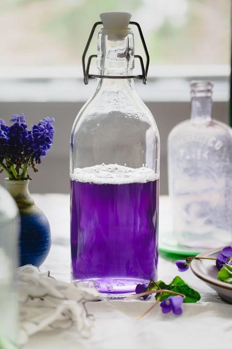 Wild Violet Syrup and Lemonade - Fare Isle Wild Violet Lemonade Recipe, Edible Herbs, Violet Lemonade, Violet Syrup, Flower Ice Cubes, Natural Eating, Common House Plants, Edible Flowers Cake, Wild Violets