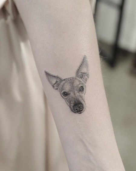 Woo Tattoo, Dr Woo Tattoo, Carlotta Oddi, Tattoo Animals, Dr Woo, Animal Tattoos, Hailey Bieber, Miley Cyrus, Tattoos And Piercings