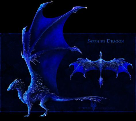 Sapphire dragon by Diterkha Please do not use for the sake of the artist and adoptable owner Sapphire Dragon, Gem Dragon, Dragons Crown, Fantasy Tv, Dragon Tail, Got Dragons, Devian Art, Dragon Series, Fairy Dragon