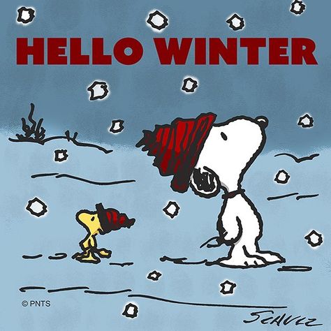 Hello Winter Snoopy Winter, Snoopy Und Woodstock, Winter Make Up, Goodbye Winter, Peanut Gang, Woodstock Snoopy, First Day Of Winter, Snoopy Funny, Welcome Winter