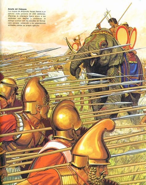 Battle of Hydaspes by Peter Connolly Seleucid Empire, Ancient Macedonia, Greco Persian Wars, Punic Wars, Historical Warriors, Hellenistic Period, Historical Eras, Greek Warrior, Ancient Warfare