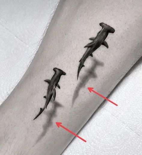 Sea Turtle Shadow Tattoo, Hammerhead Shark Tattoo Realistic, Turtle Shadow Tattoo, Black Tip Reef Shark Tattoo, Shark Swimming Tattoo, Mosasaurus Tattoo, Aquarium Tattoo, Tattoo Sea Turtle, Hammerhead Tattoo